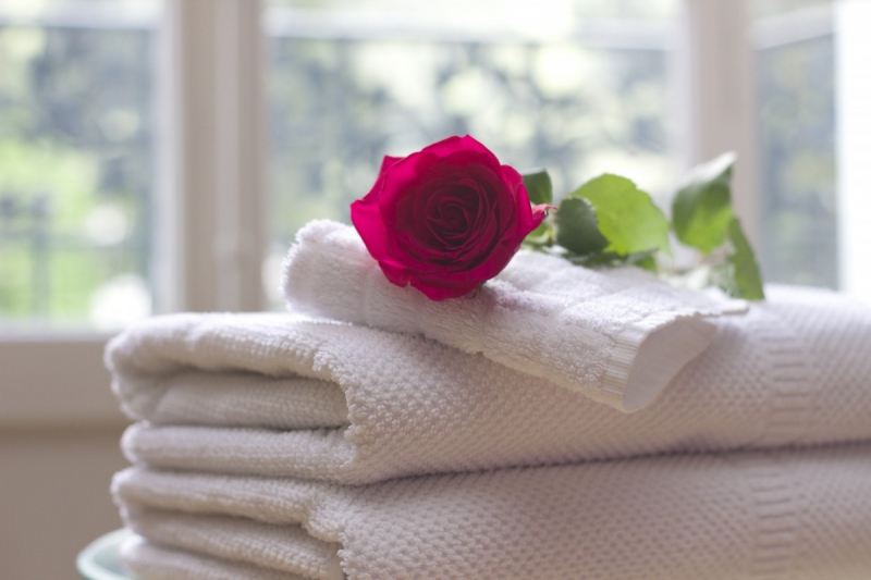 hotel-BAGNOLS EN FORET-min_towel_rose_clean_care_salon_spa_white_bath-731641